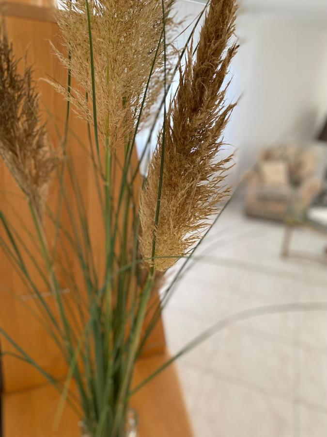 Apartment Traumzeit Bad Neustadt an der Saale Dış mekan fotoğraf